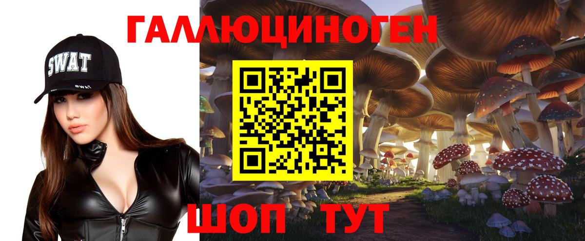 Братск  Галлюциногенные грибы Cubensis  Вход с VPN 