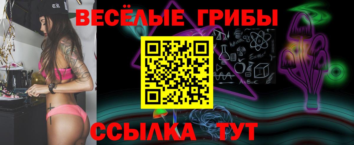 Галлюциногенные грибы Psilocybe Братск